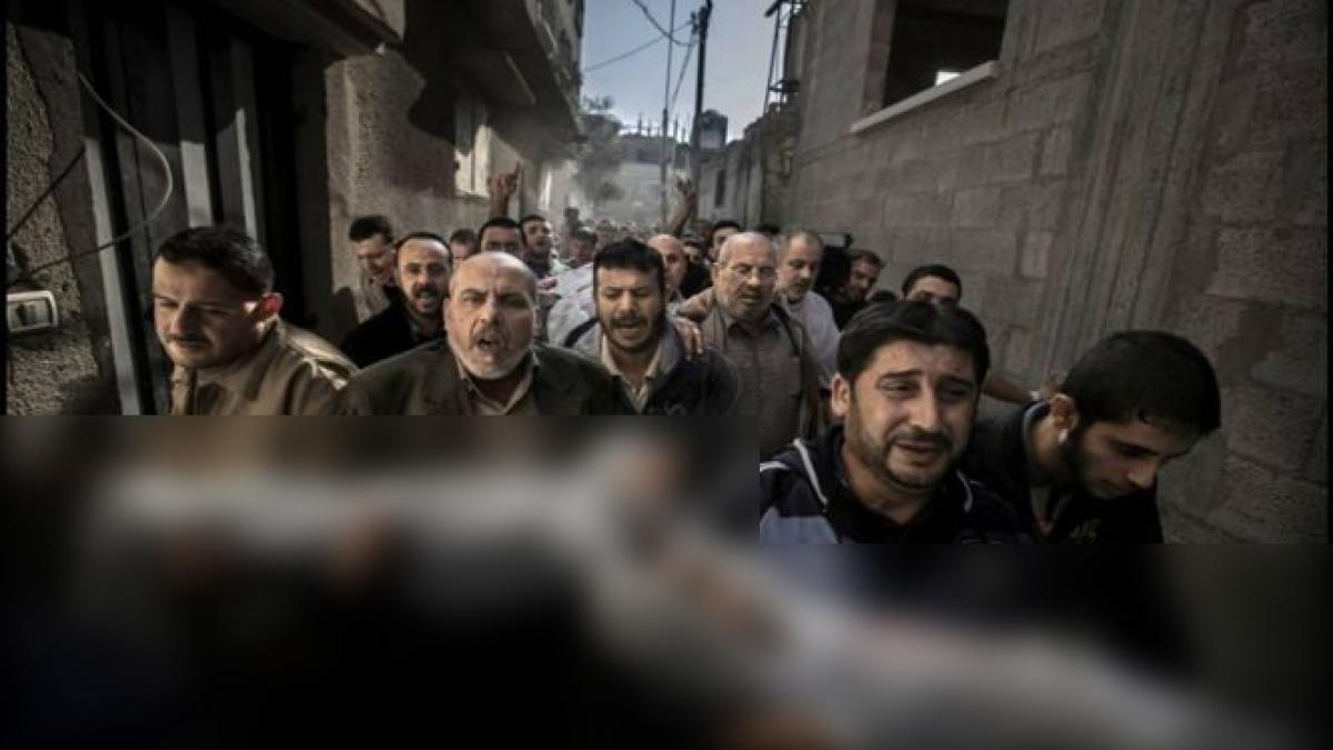 aceasta este fotografia anului 2012