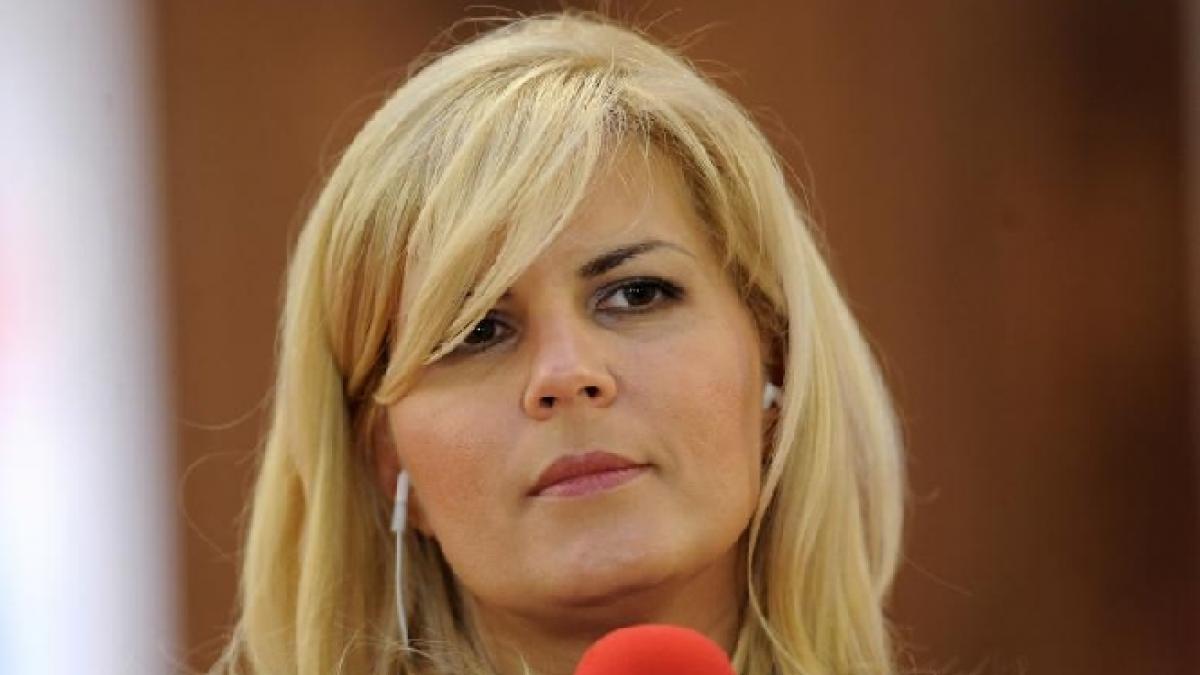 cat costa un vot pentru elena udrea la conventia nationala