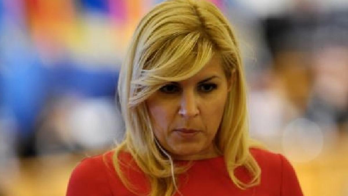 razboi deschis in pdl vasile blaga si elena udrea principalii actori