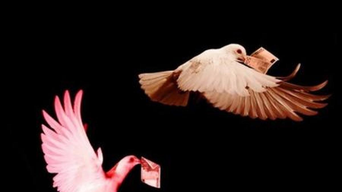 Porumbeii voiajori - de la necesitate la un hobby de lux