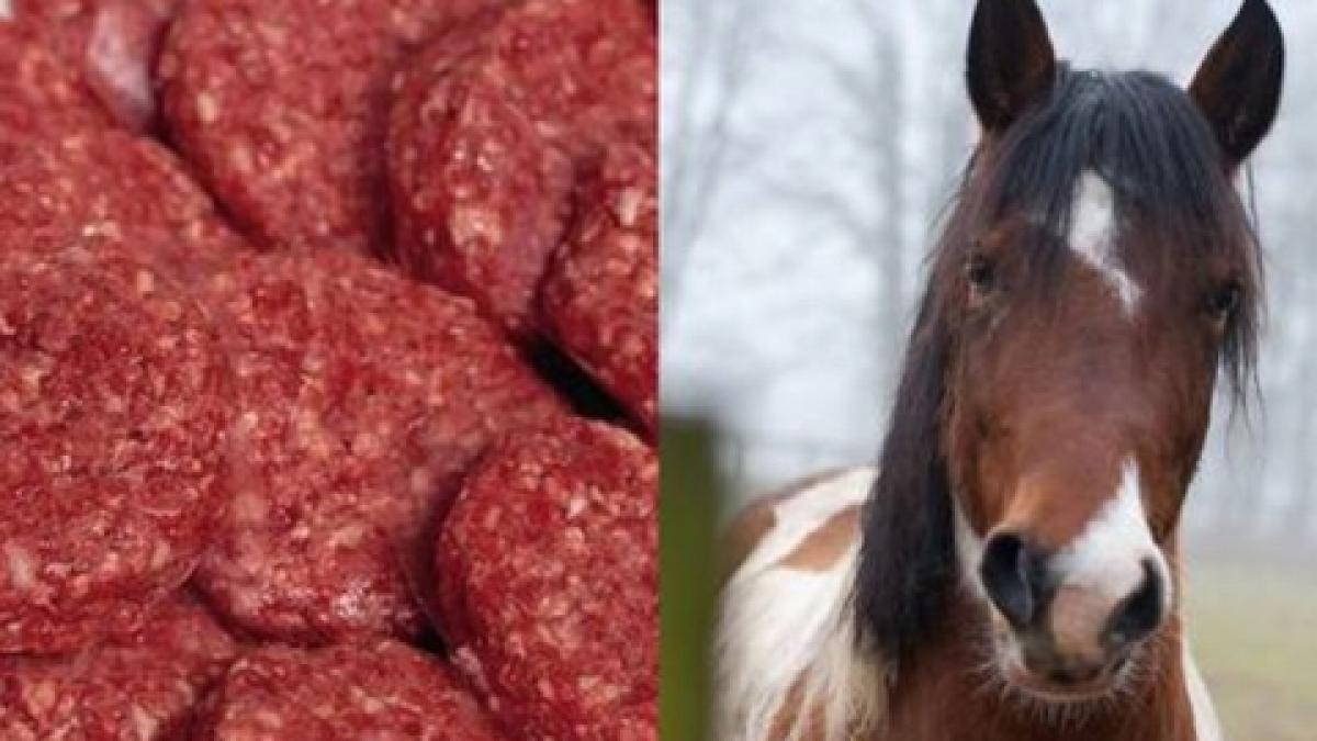 scandalul carnii de cal lidl isi retrage semipreparatele din suedia si finlanda