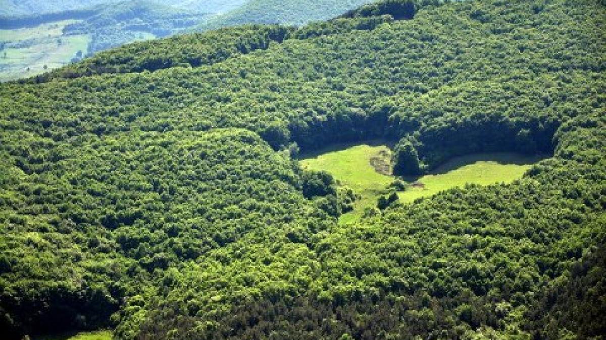 inima din inima tarii descoperirea misterioasa care poate aduce mii de turisti in romania