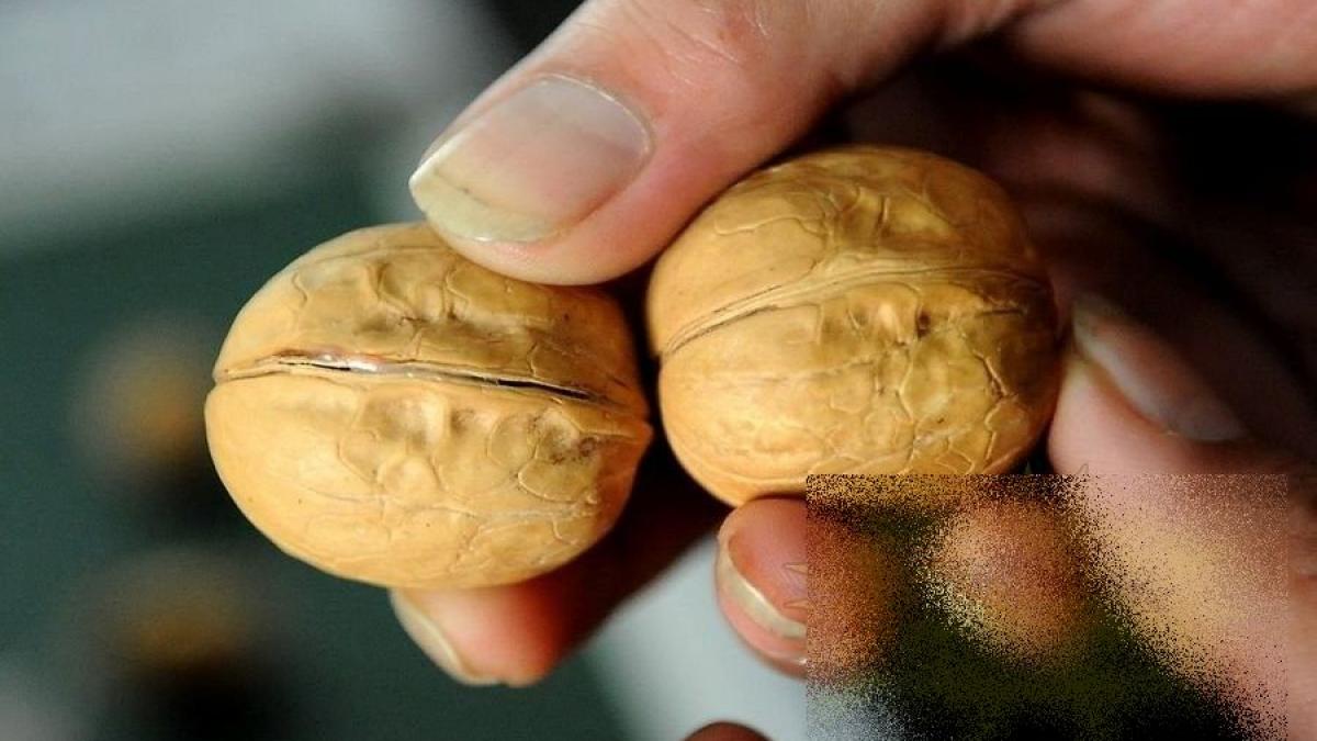 chinezii au inceput sa fabrice nuci iata ce poti gasi in interior daca vei cumpara asa ceva