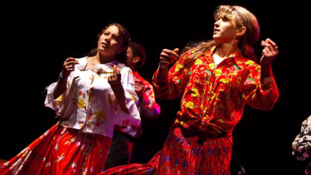 in palatul parlamentului a rasunat muzica lautareasca romii au sarbatorit ziua dezrobirii