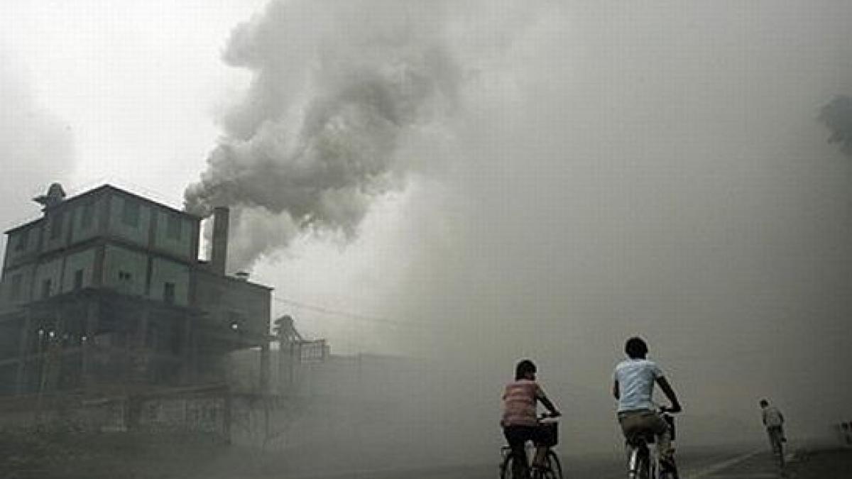 daca romanii s ar muta in china ar fi foarte nefericiti guvernul a interzis un lucru care e pasiune