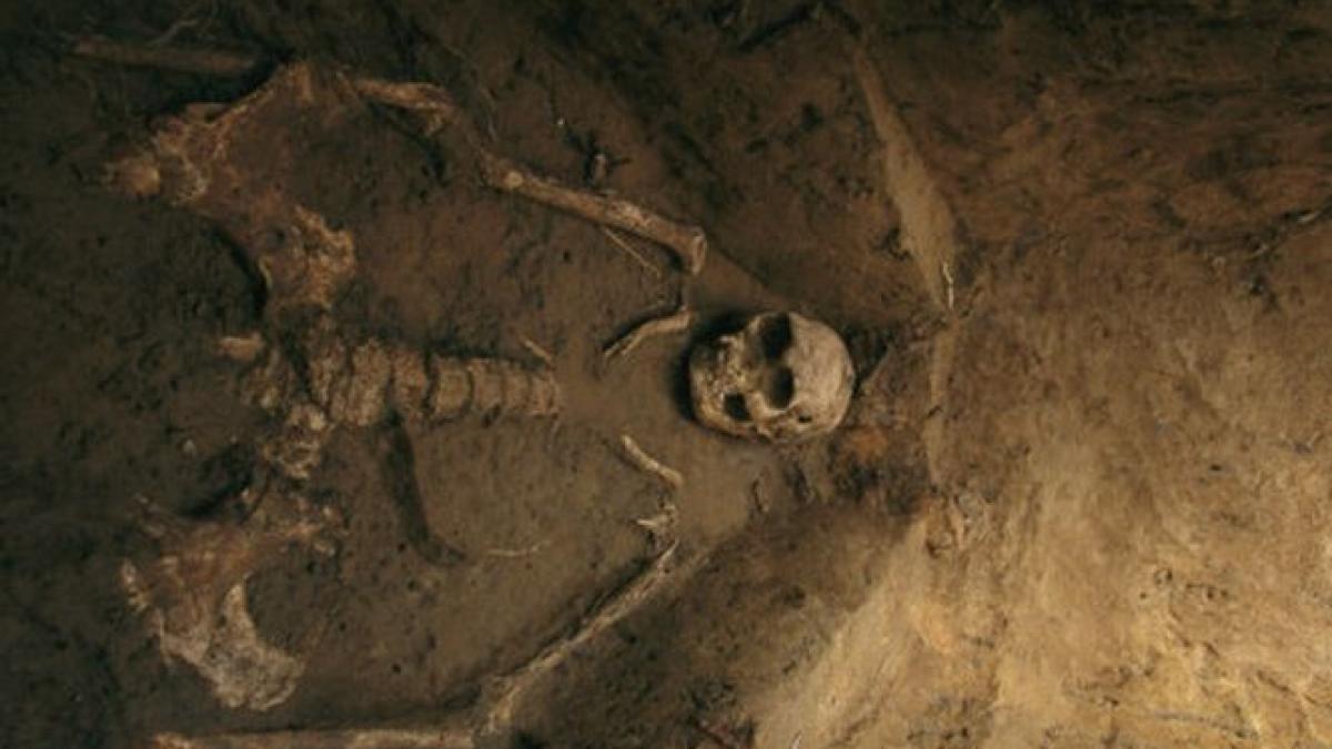 descoperire importanta in rusia arheologii au dezgropat o adevarata comoara