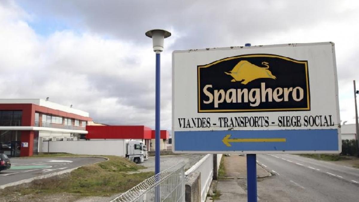firma franceza spanghero isi inceteaza activitatea in comert cu carne