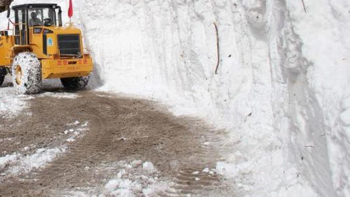 zapada le provoaca probleme serioase vecinilor din ungaria ninsorile abundente au ingreunat raficul