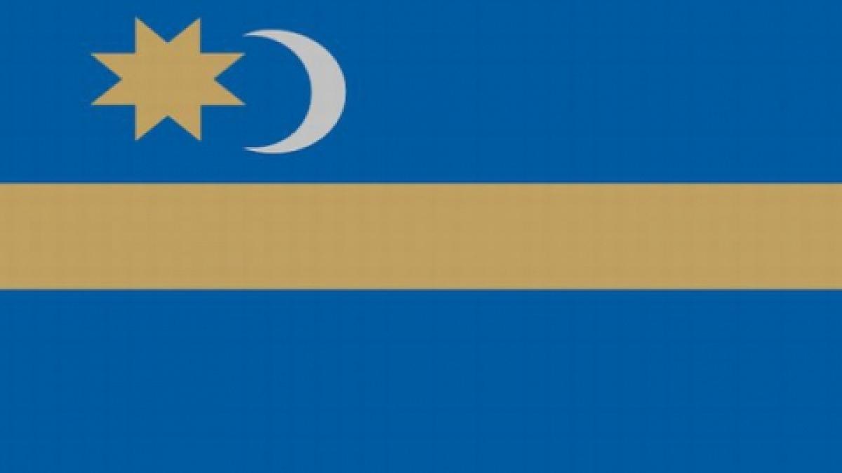 consiliul national secuiesc condamna absenta udmr de la mitingul pentru autonomie din 10 martie de