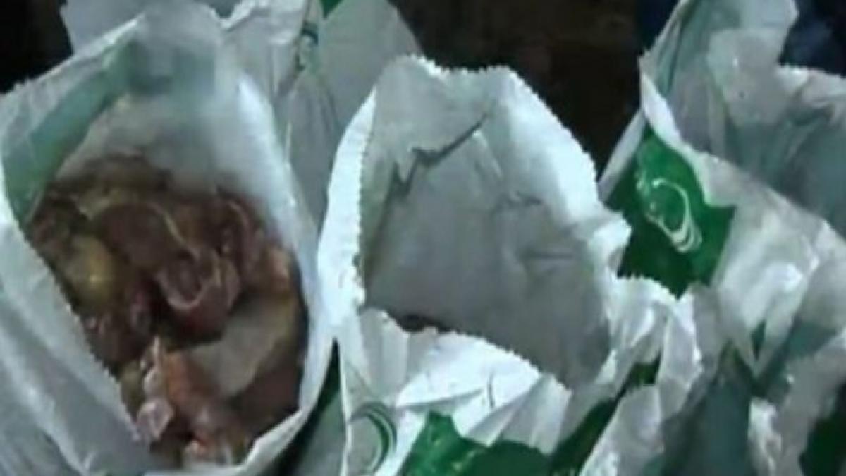 ancheta in cazul oaselor de animale descoperite in apropierea municipiului galati