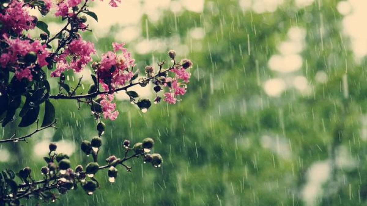 asta se va intampla pe teritoriul tarii in urmatoarele doua saptamani romanii se asteptau la altceva