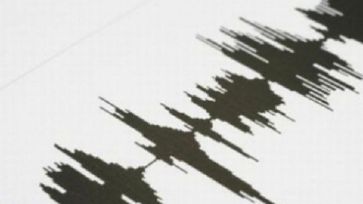 cutremure in zona fagaras campulung in aceasta dimineata ce intensitate au avut seismele