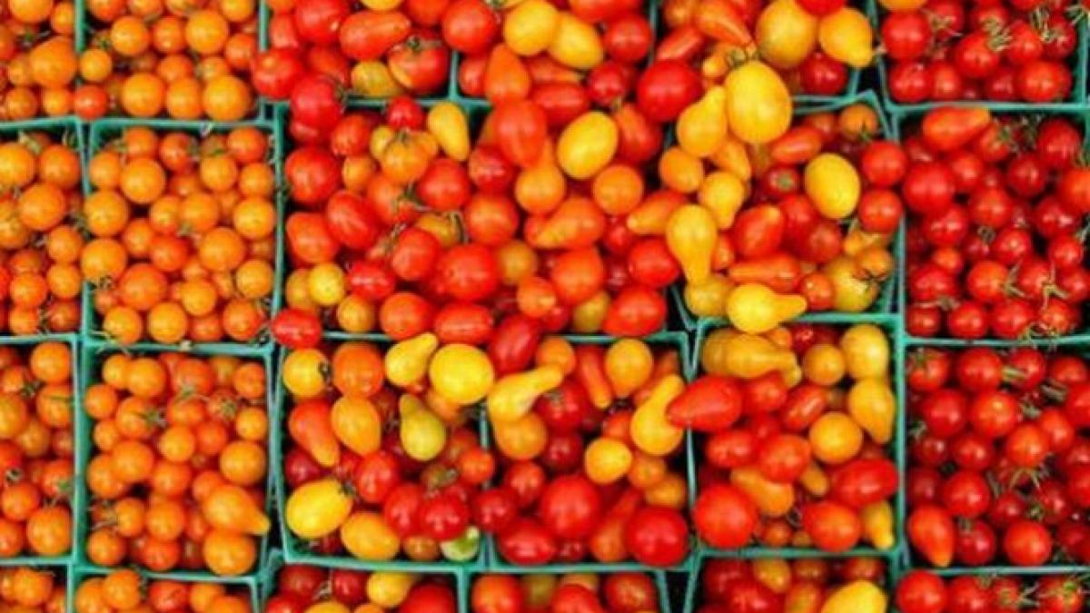 evaziune fiscala de cateva milioane de euro sute de jandarmi fac perchezitii la distribuitorii de