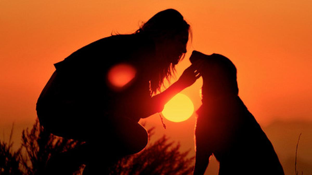 siluete surprinse de obiectivul aparatului in razele apusului de soare