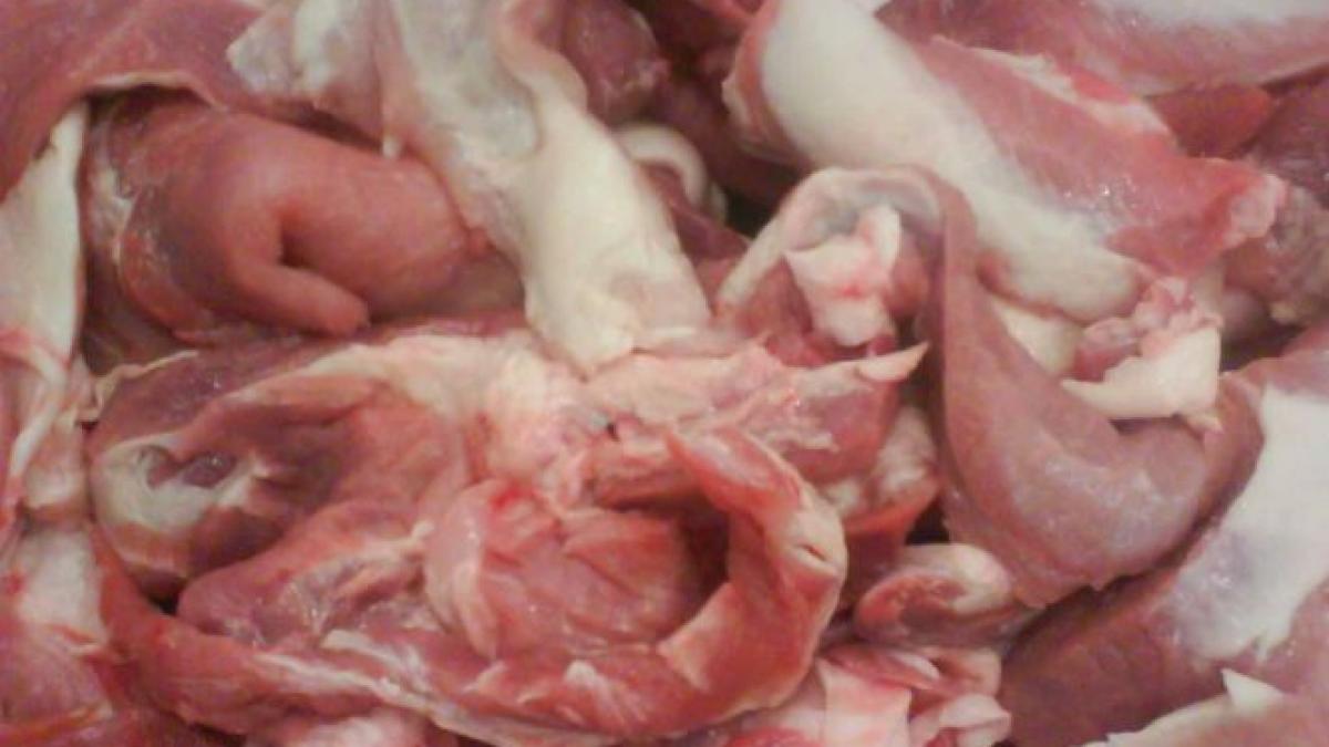 testele au confirmat carnea aruncata pe malul lacului tarnita din cluj este de cal