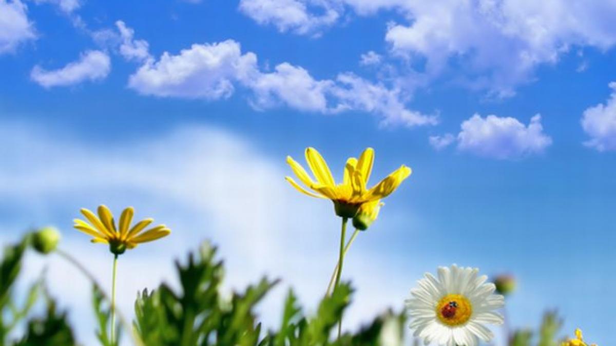 cum va fi vremea pe 1 martie prognoza meteo pentru inceputul primaverii in fiecare regiune a tarii