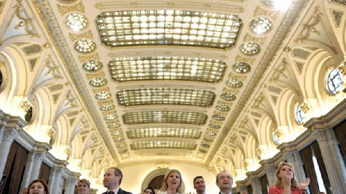 delegatii pdl covasna vor vota dupa propria optiune la conventia nationala din 23 martie