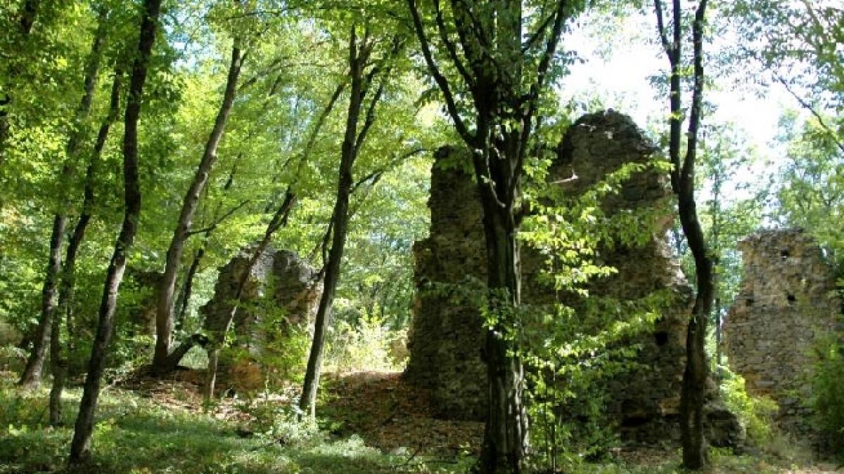 fantoma unei tinere care s a sinucis in padurea de langa oras mit sau realitate