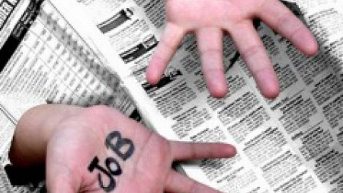 in conditiile in care exista buget se pot face angajari senatorii au votat pentru deblocarea