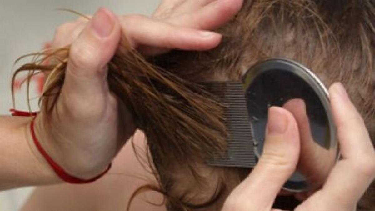 repetenti la igiena sute de elevi din ploiesti s au umplut de paduchi