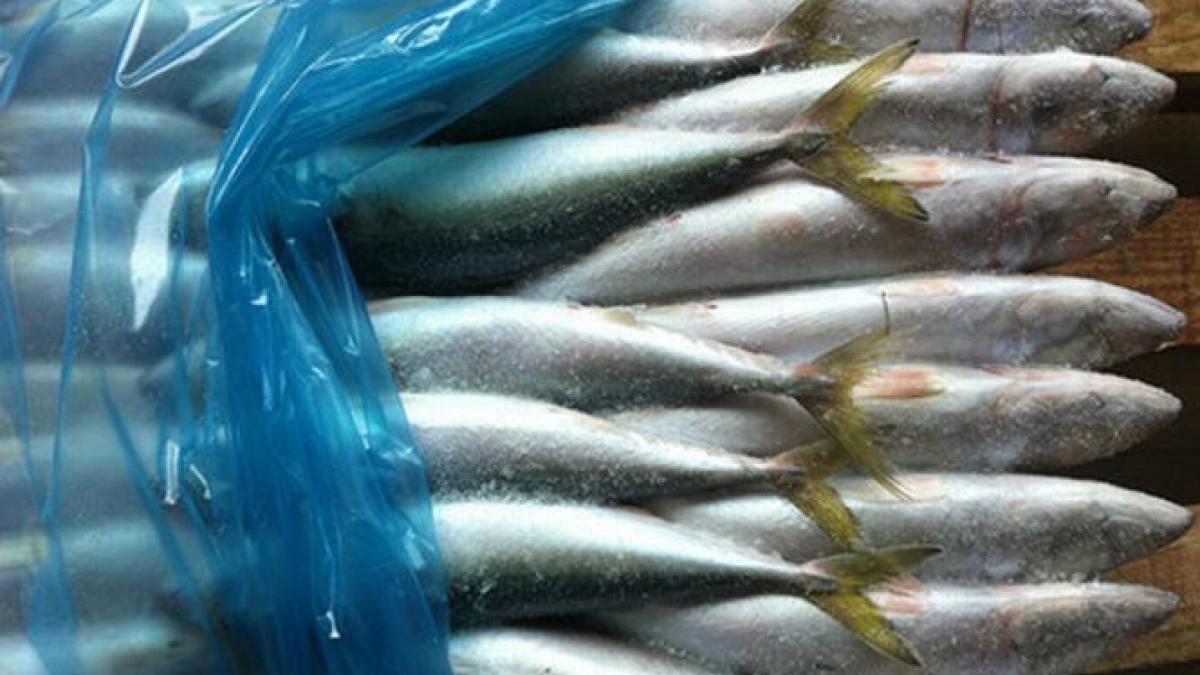 alerta alimentara in romania ansvsa a retras de la vanzare 90 din macroul infestat cu parazit