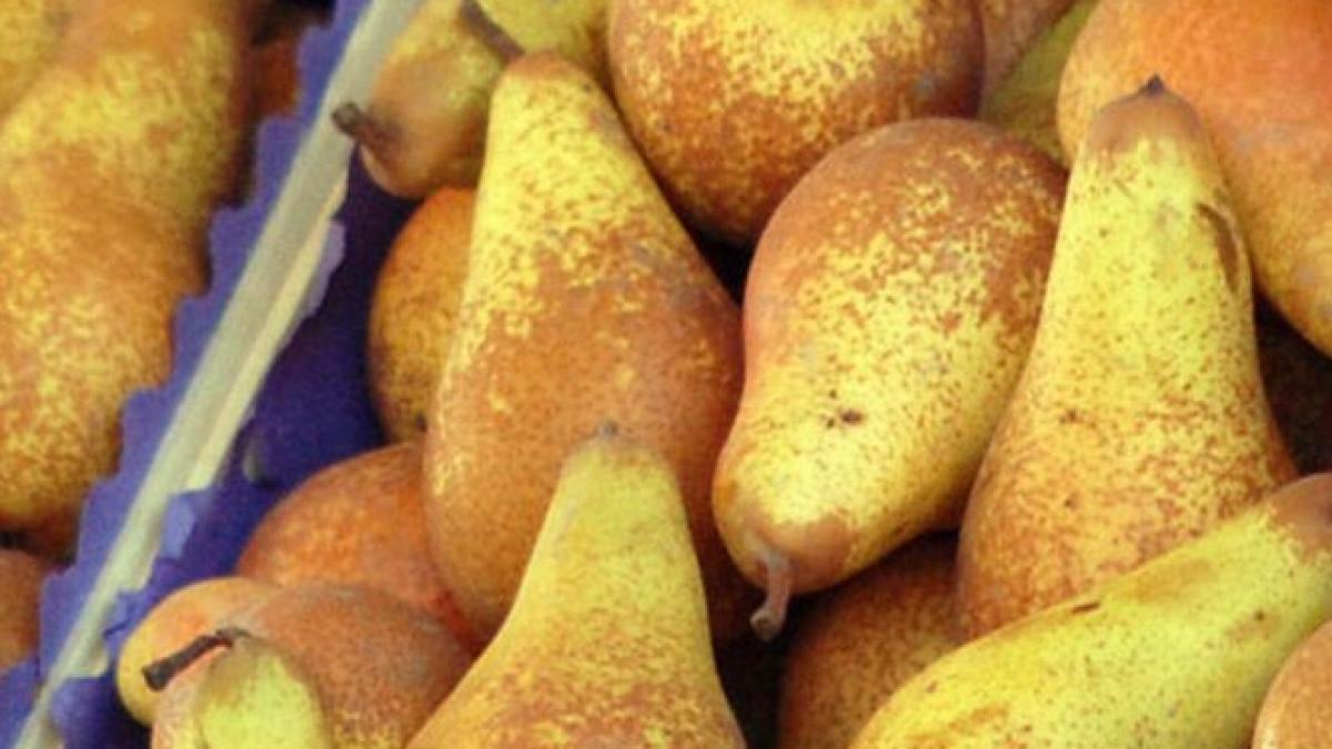 fructe toxice in prahova nivelul de pesticide depasea limitele legale admise