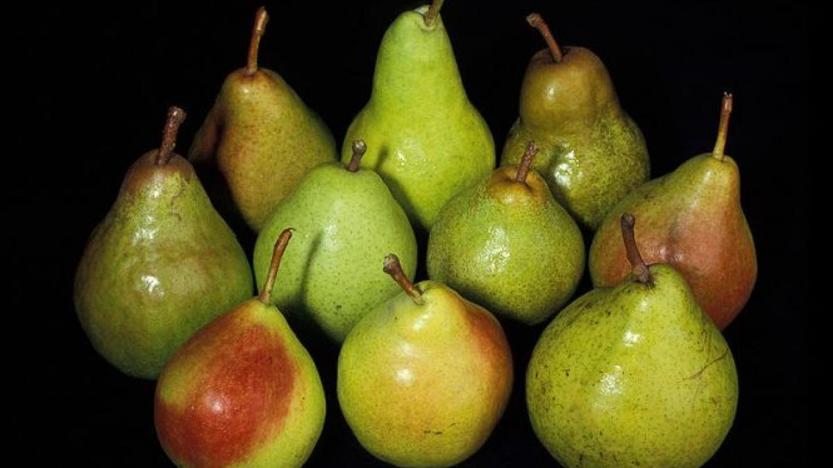 perele turcesti pline cu pesticide au ajuns pe piata din vina ansvsa ministrul constantin am