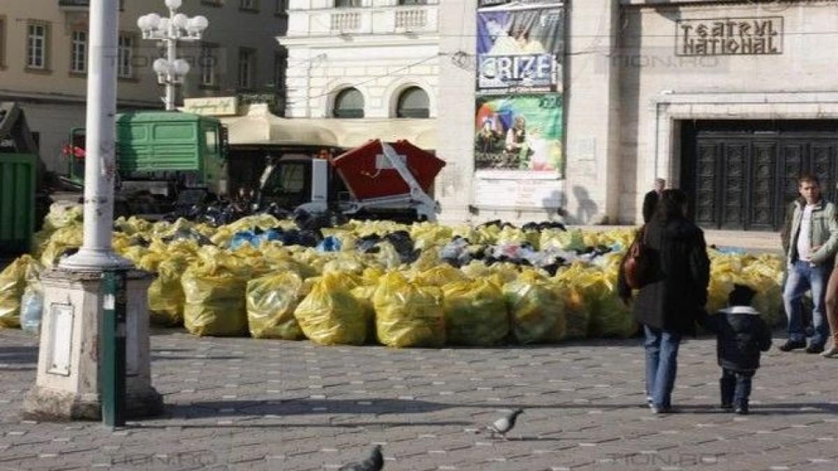 botosani ploiesti si timisoara se intrec pentru titlul capitala earth hour 2013