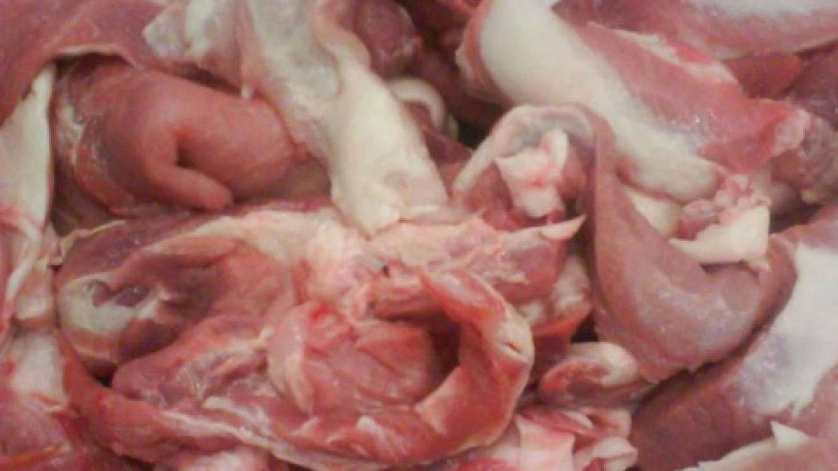 sinteza zilei reportaj german despre scandalul carnii de cal din romania