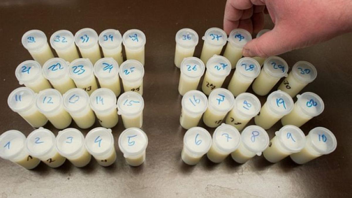 ce s a intamplat in marile magazine dupa scandalul cu aflatoxina comerciantii sunt disperati