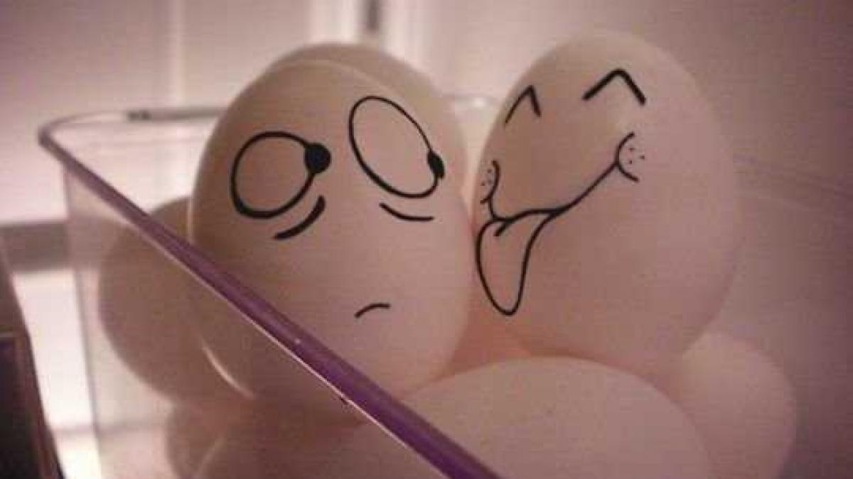 sa zambim putin arta din mancare un spectacol inedit