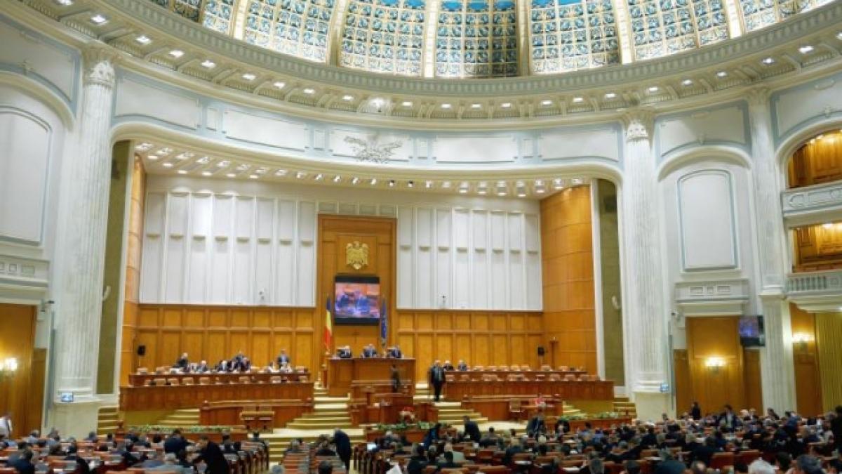 ce mananca deputatii romani in 2013 carne de pui si de curcan grill pulpe piept nu se accepta pui