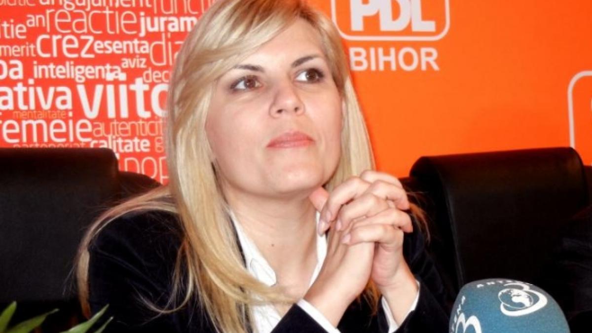 elena udrea usl va avea doi candidati la presedintie victor ponta pentru psd si tariceanu pentru pnl