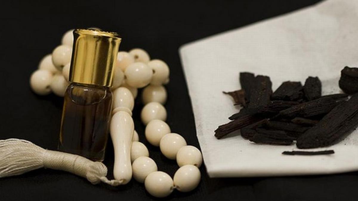 guvern hidroelectrica a cumparat bijuterii parfumuri scumpe si genti din piele depasind bugetul