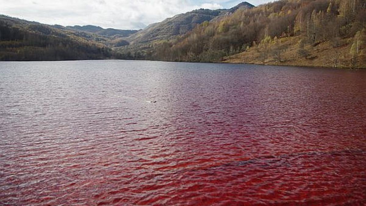imaginea socanta surprinsa in romania lacul de sange arata dezastrul la care suntem martori