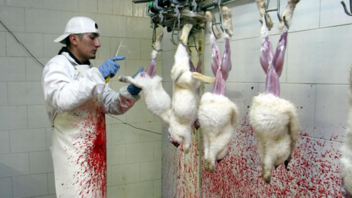 oficialii belgieni depun plangere la ce impotriva germaniei denunta practici scandaloase care ii