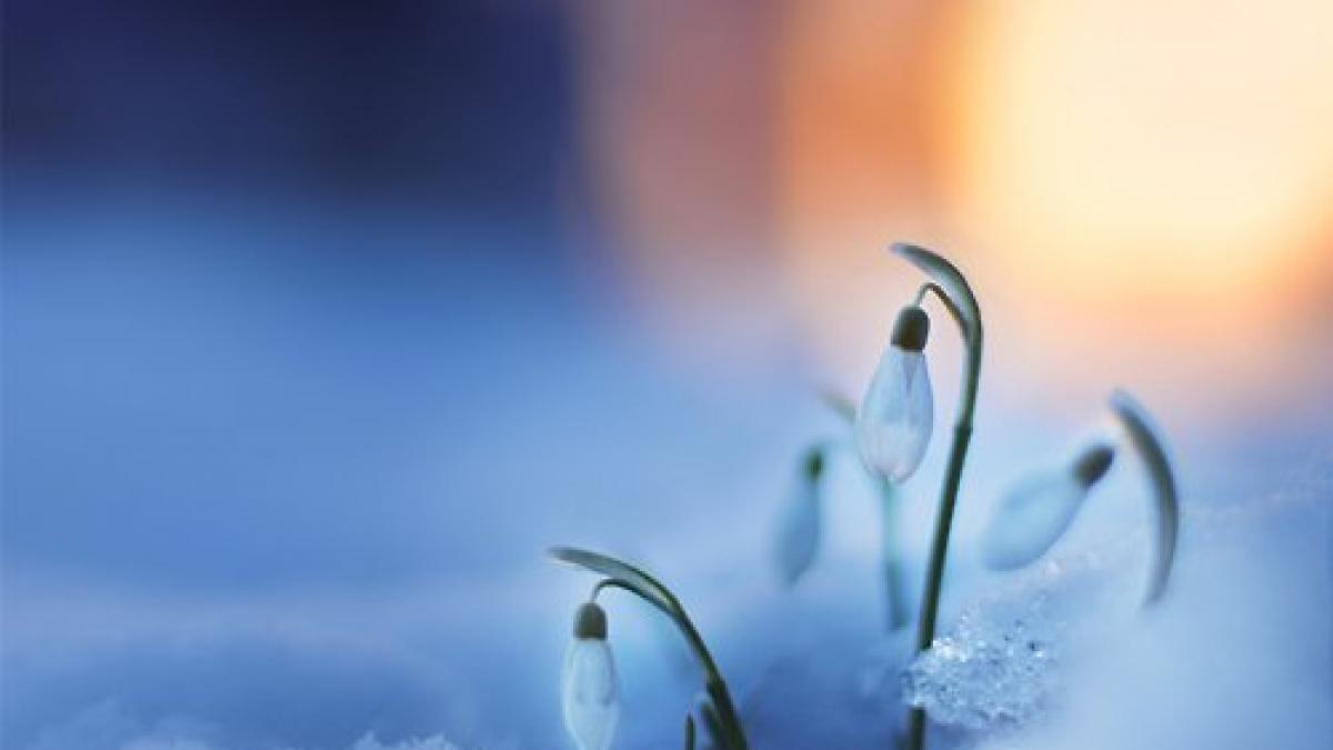 se intorc ninsorile cod galben de vreme rea in toata tara de vineri pana sambata