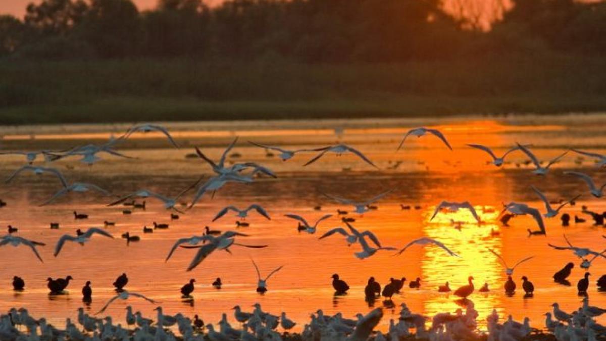 aventura de un milion de euro cea mai scumpa vacanta din lume include si romania