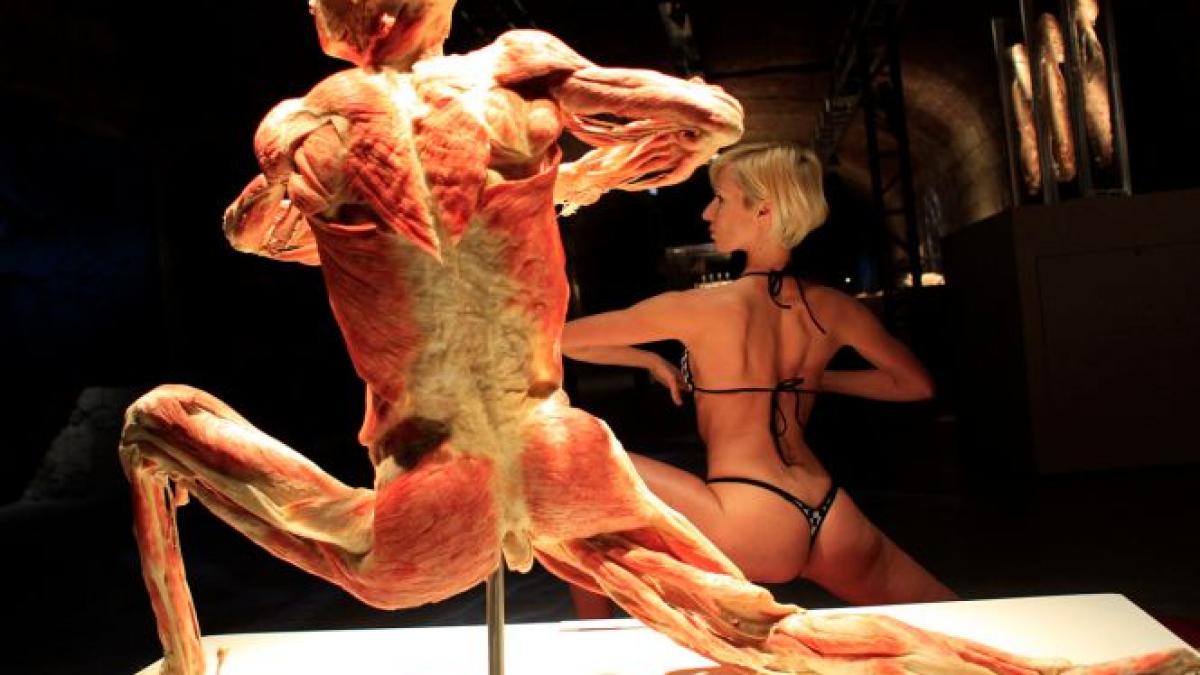 cea mai controversata expozitie din lume the human body se deschide vineri la muzeul antipa