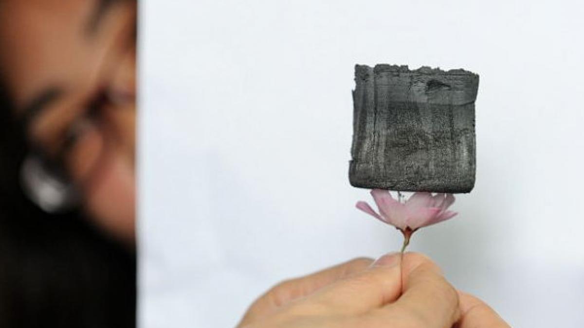 incredibil cel mai usor material solid din lume se poate balansa pe o floare de cires