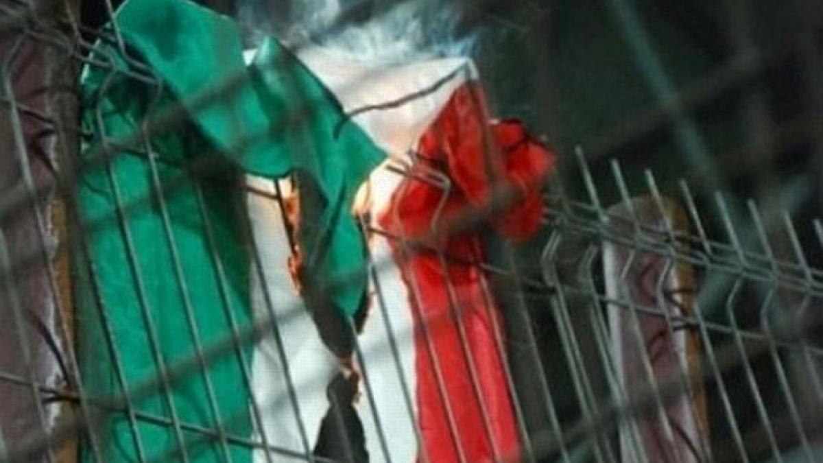 scandal urias pornind de la steagul ungariei incendiat de un suporter rapidist udmr depune plangere