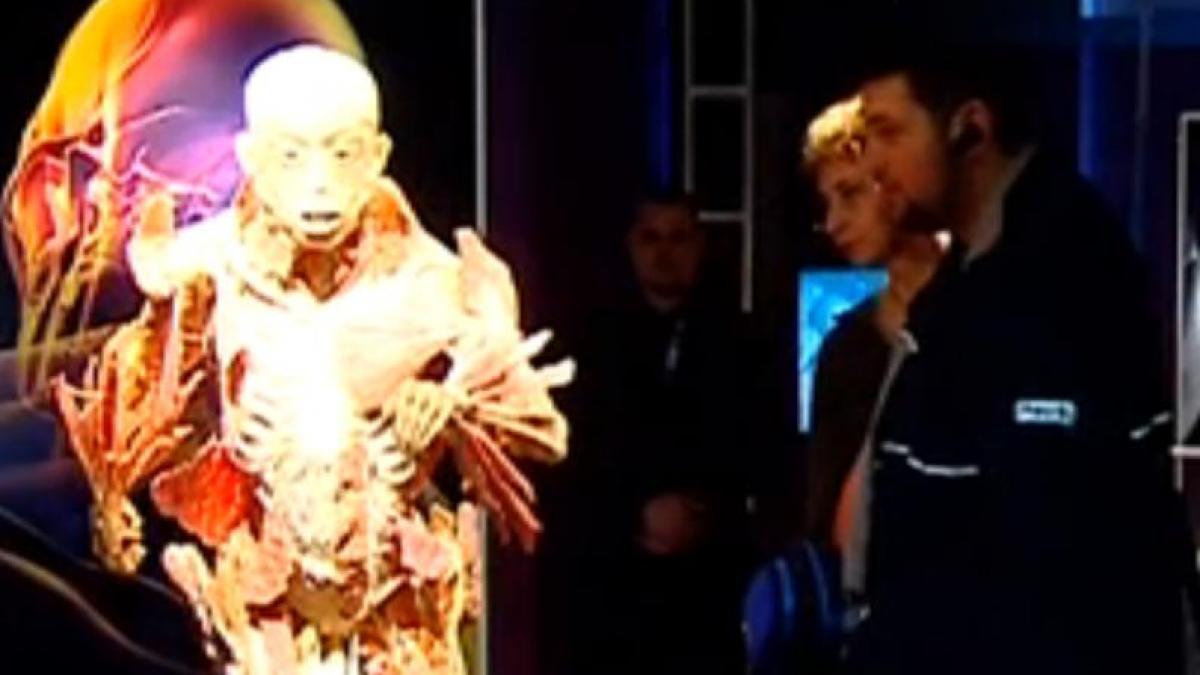 controversata expozitie de la antipa a adunat sute de vizitatori chiar din prima zi