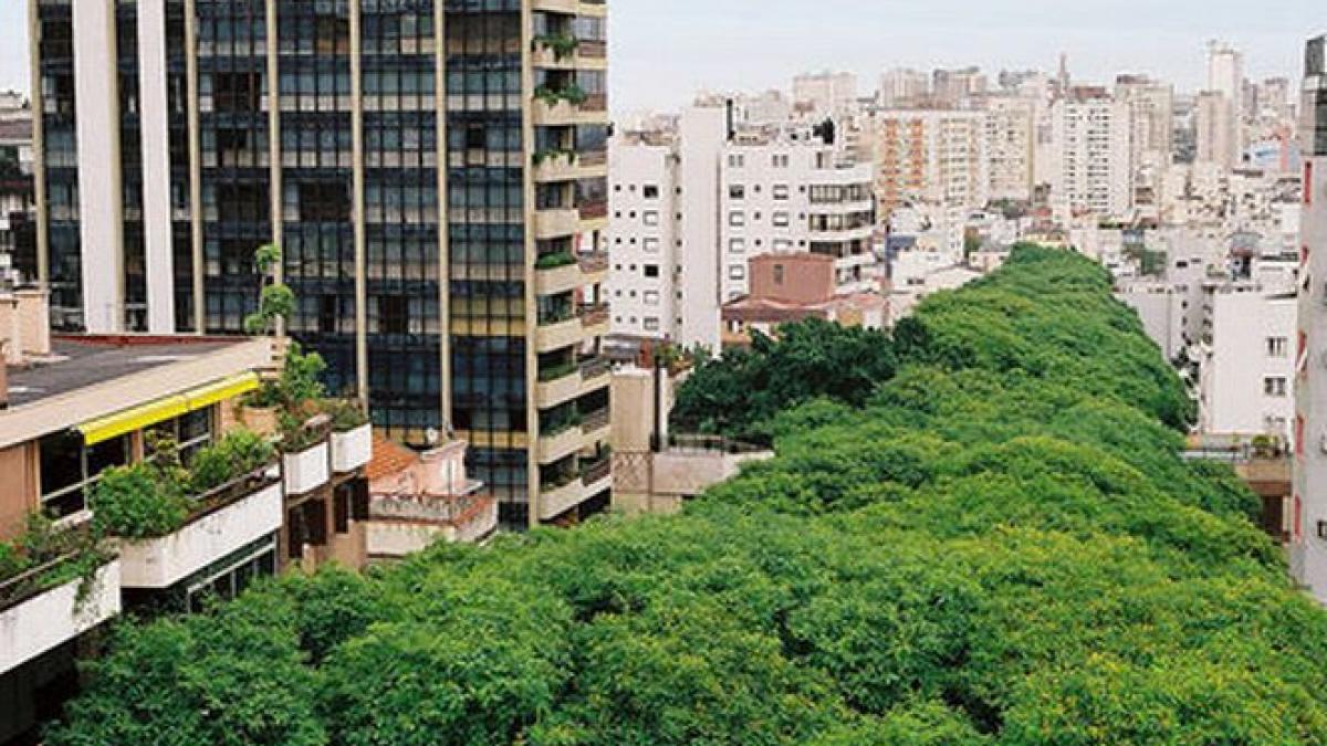 o gura de oxigen pentru un oras poluat strada unica in lume care este protejata prin lege