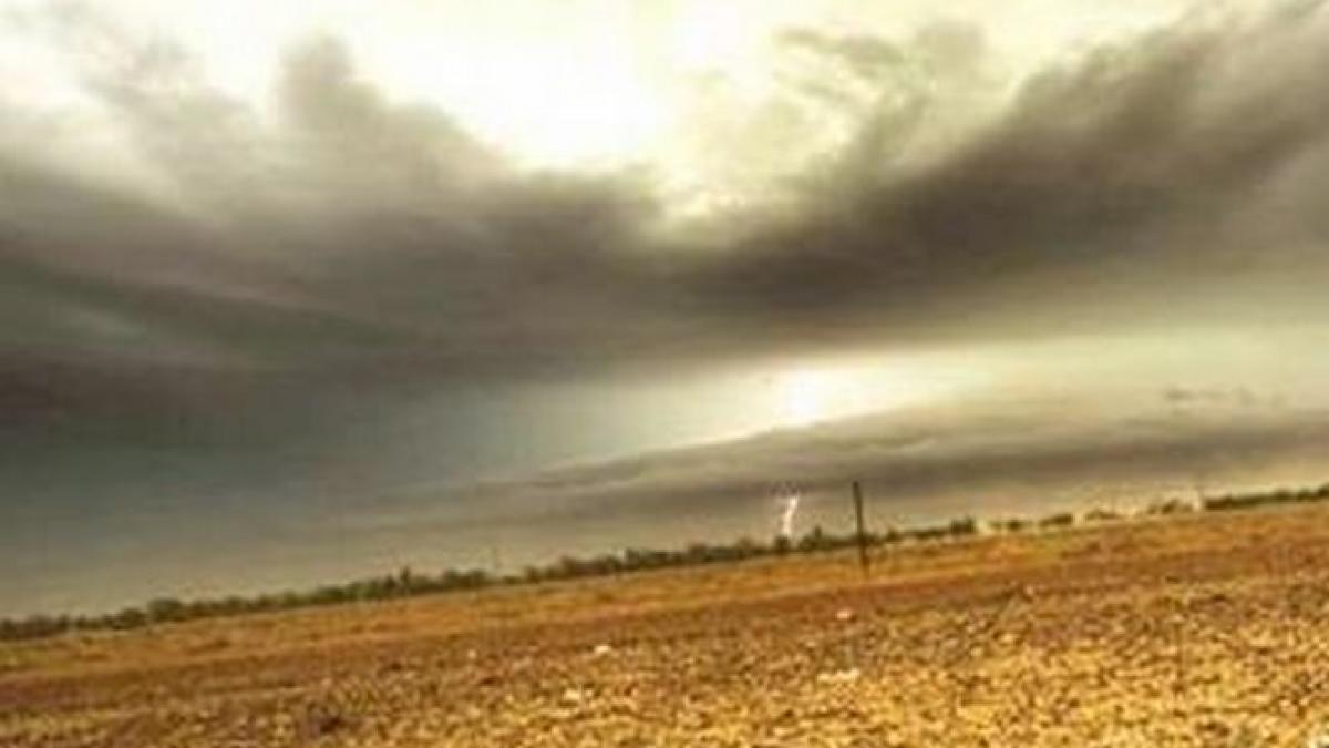 primavara ploioasa si vara secetoasa cat de afectata va fi agricultura de vremea capricioasa