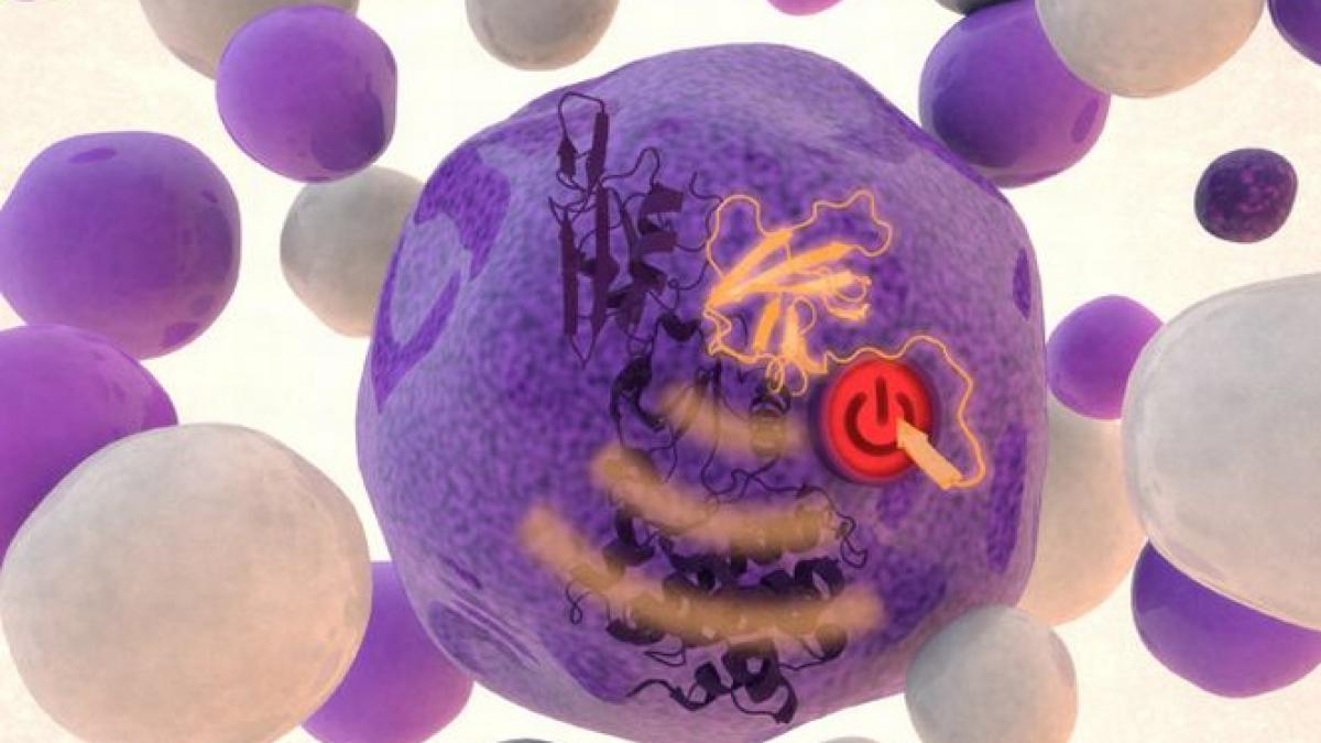 tratament minune pentru o boala extrem de grava maladia vindecata in 8 zile cu ajutorul unui virus