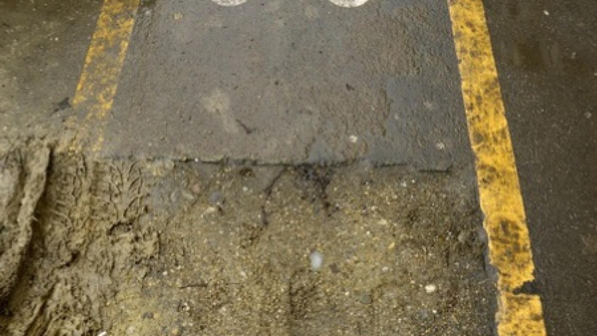 aproape 4 000 de biciclisti au participat la un mars de protest in bucuresti