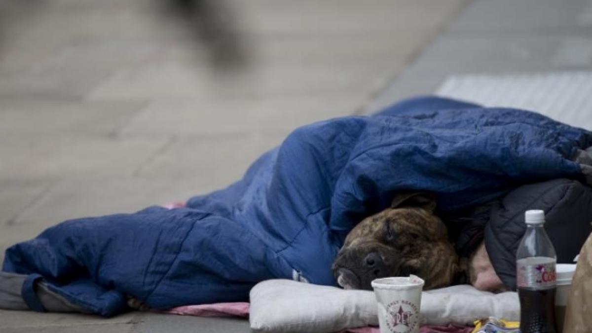 londra jumatate din persoanele care incalca noua lege privind ocuparea cladirilor nelocuite sunt