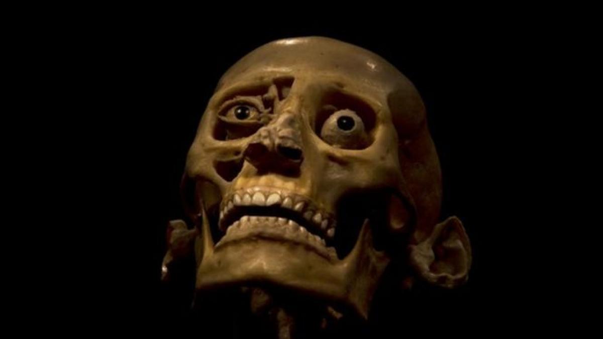 record de vizitatori la muzeul antipa controversata expozitie the human body numara mii de