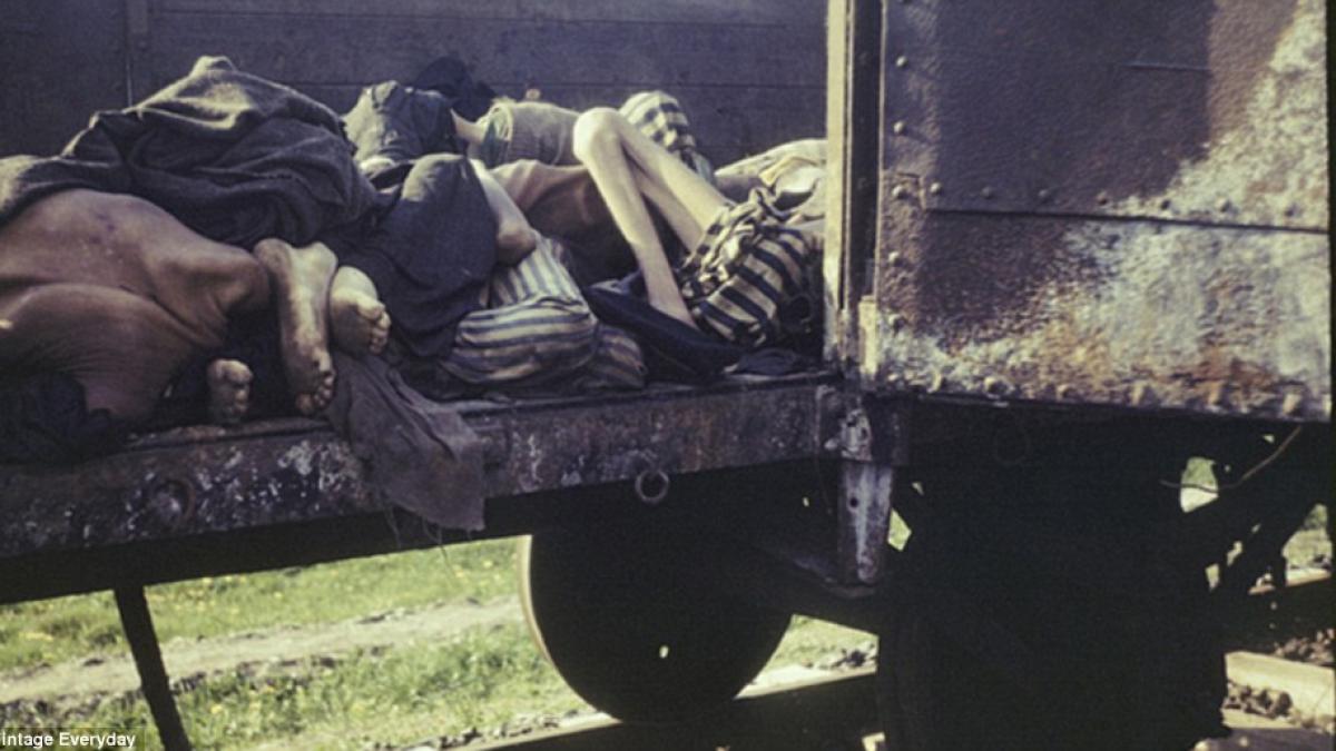 aceasta este culoarea intunericului imagini pe care istoria acestei tari ar vrea sa le ascunda lumii