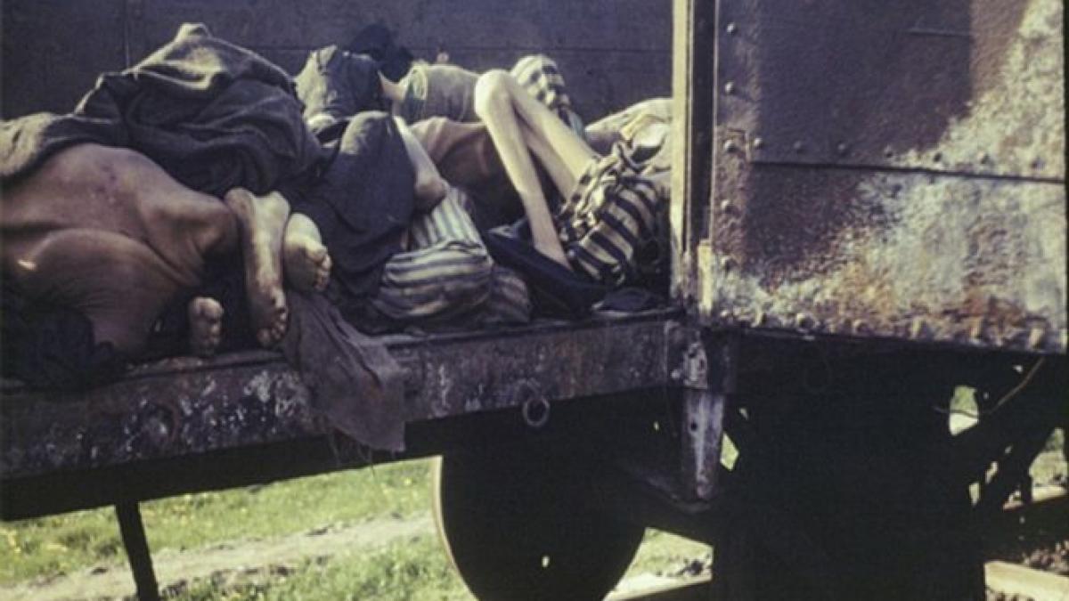 culorile intunericului fotografii nemaivazute din lagarul de concentrare